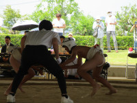 IMG_6491