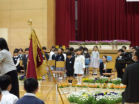 IMGP0417