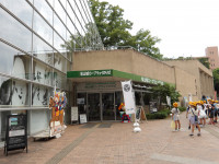 IMGP0345